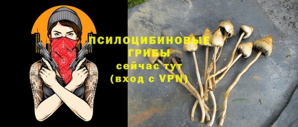 скорость Алексеевка