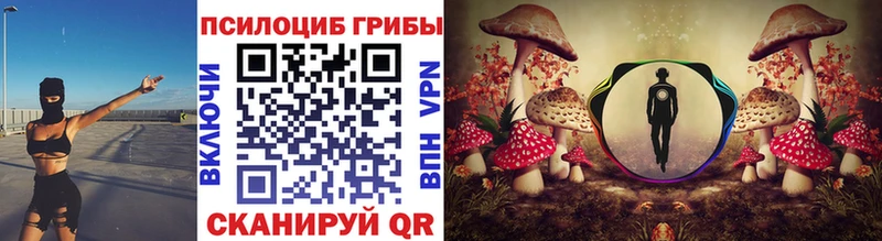 hydra маркетплейс Пыталово Галлюциногенные грибы Psilocybe